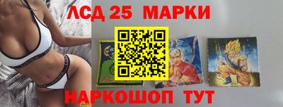 гашик Бийск