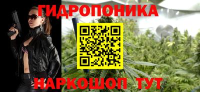 гашик Бийск