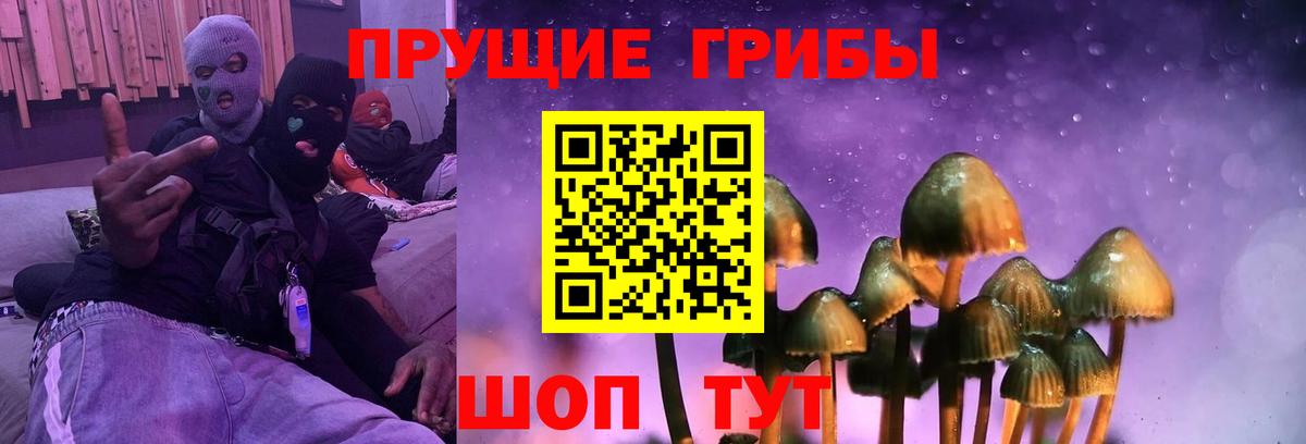 Псилоцибиновые грибы прущие грибы  Вход с VPN  Белая Калитва  Псилоцибиновые грибы мухоморы 